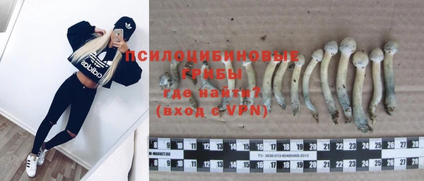 мдпв Богданович