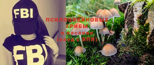 mix Приозерск