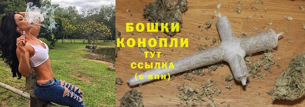 мдпв Богданович