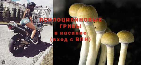 бутират Богородск